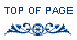 Go to top of page