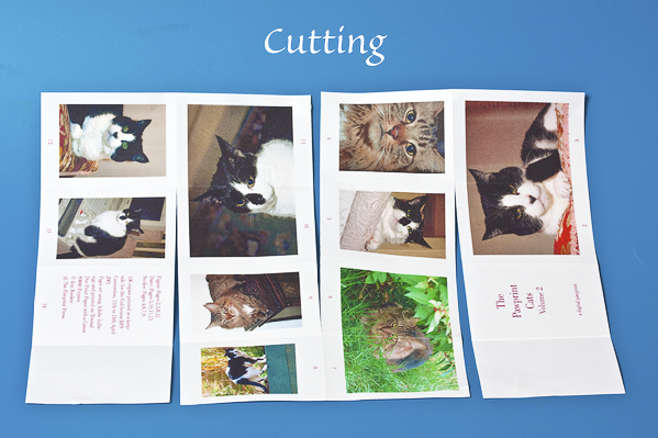 Cutting